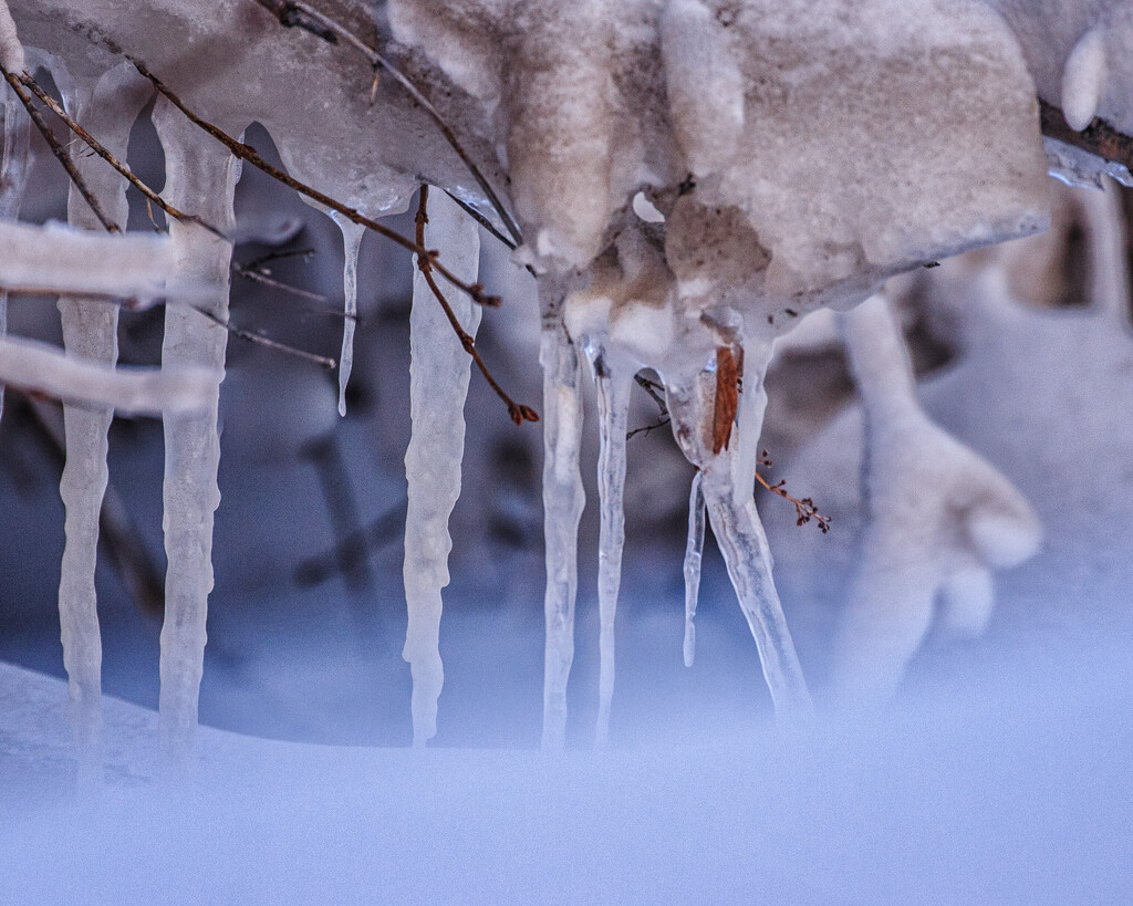 icicles by aecasey