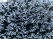 15th Nov 2022 - Frosted windows