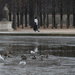 A freezing walk by parisouailleurs