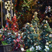 Tiny Christmas trees  by parisouailleurs