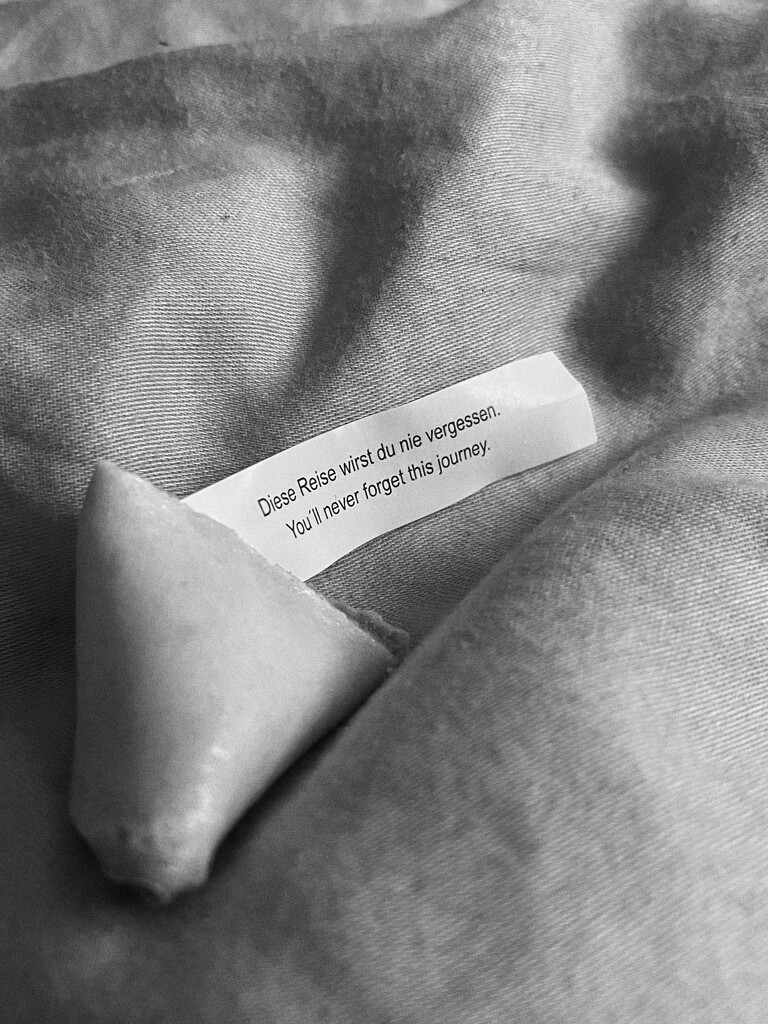 Fortune cookie wisdom by wewe
