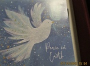 28th Dec 2022 - Peace Dove.