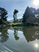 27th Dec 2022 - Pond in SF Botanical Garden