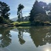 Pond in SF Botanical Garden by shutterbug49