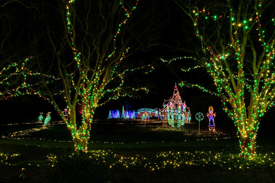 Garden of Lights I by Tim Erskine · 365 Project