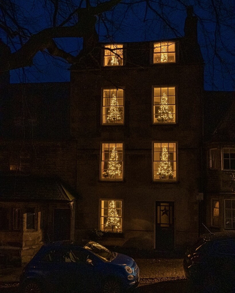 Christmas Tree House  by rjb71