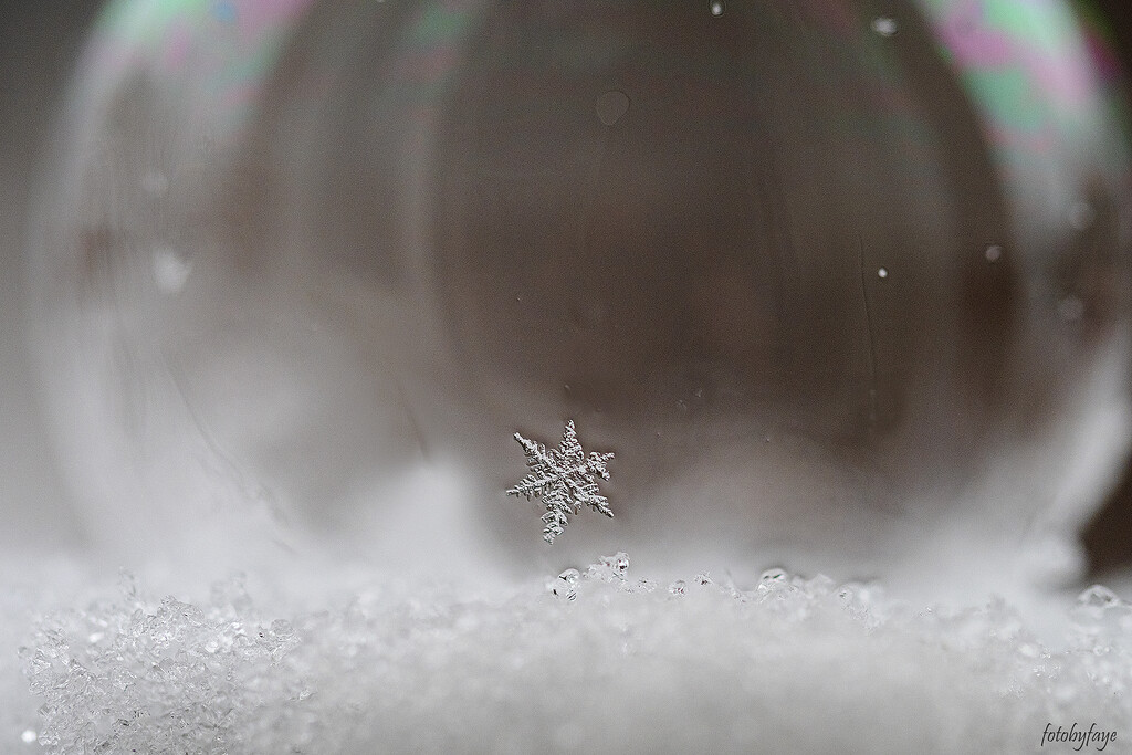Snowflake on Bubble by fayefaye