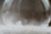 27th Dec 2022 - Snowflake on Bubble