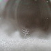 Snowflake on Bubble by fayefaye