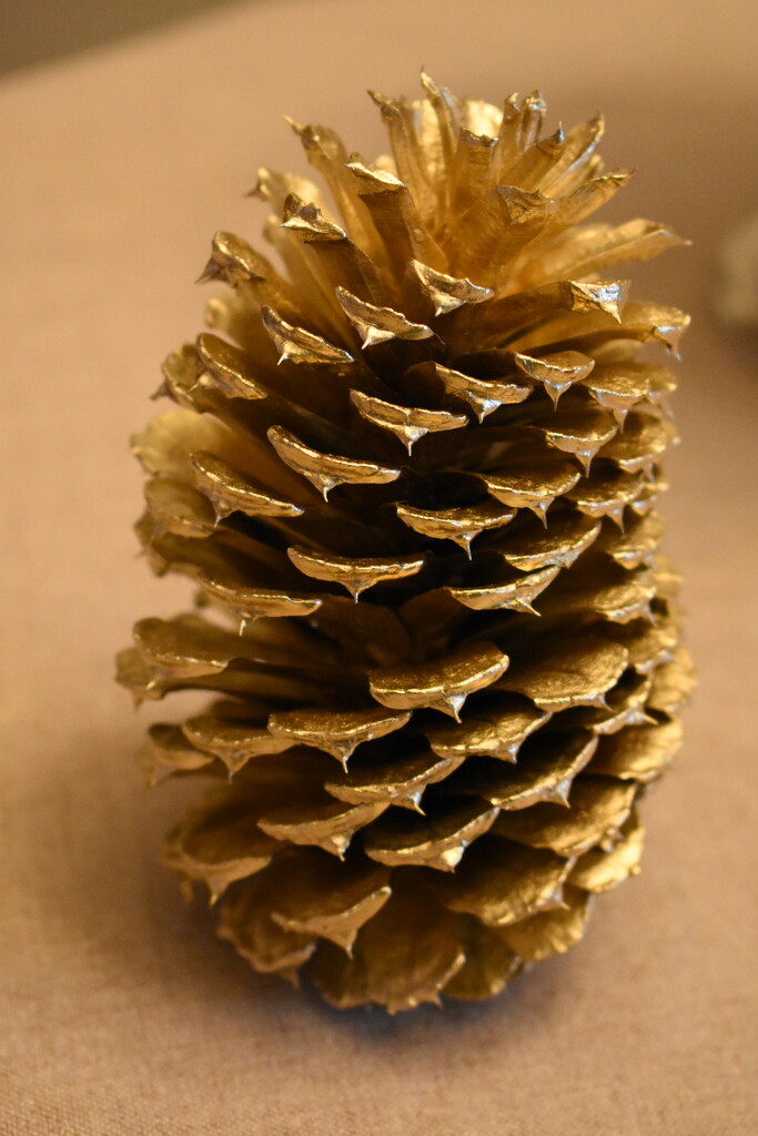 Golden pine cone by dianemhall