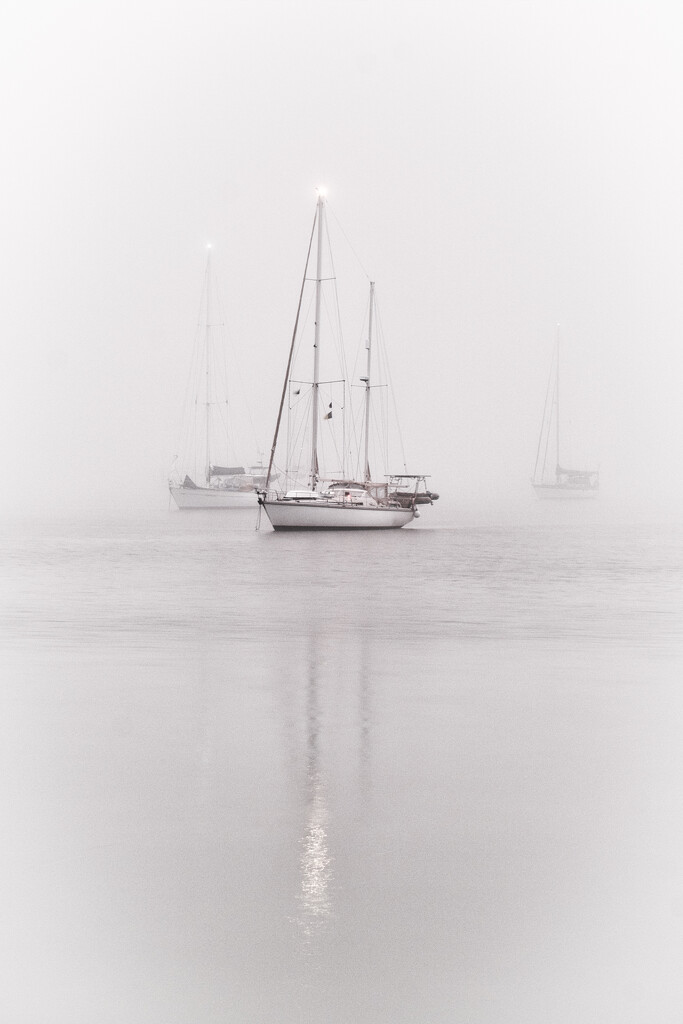 Yachts in the fog by dkbarnett