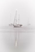 23rd Dec 2022 - Yachts in the fog