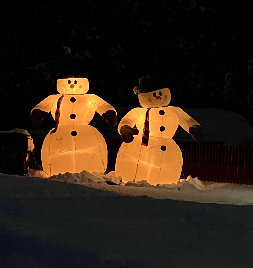 Snowmen  by radiogirl