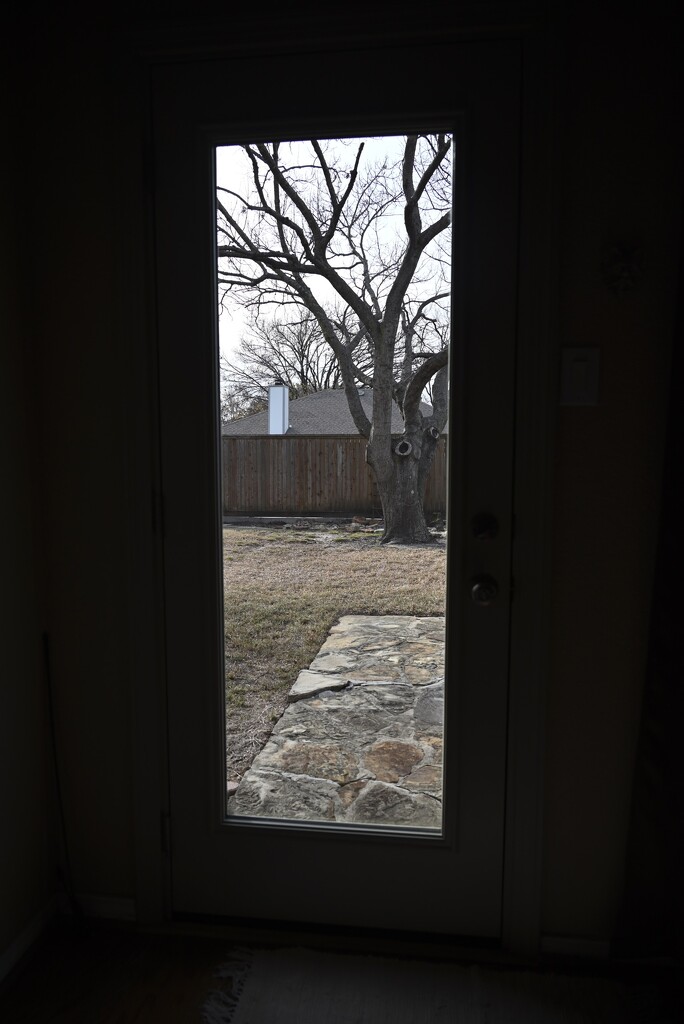 Door View by metzpah
