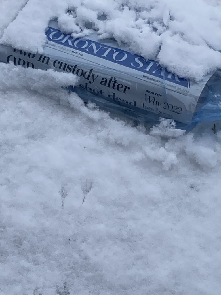 Paper in the Snow  by spanishliz