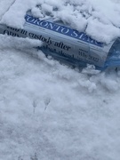 28th Dec 2022 - Paper in the Snow 