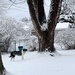 Snowy day  by pennyrae