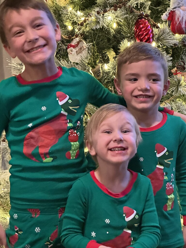 Our great grandsons in their Dinosaur Santa pajamas by louannwarren