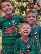 26th Dec 2022 - Our great grandsons in their Dinosaur Santa pajamas