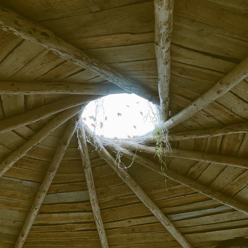 wood hut by cam365pix