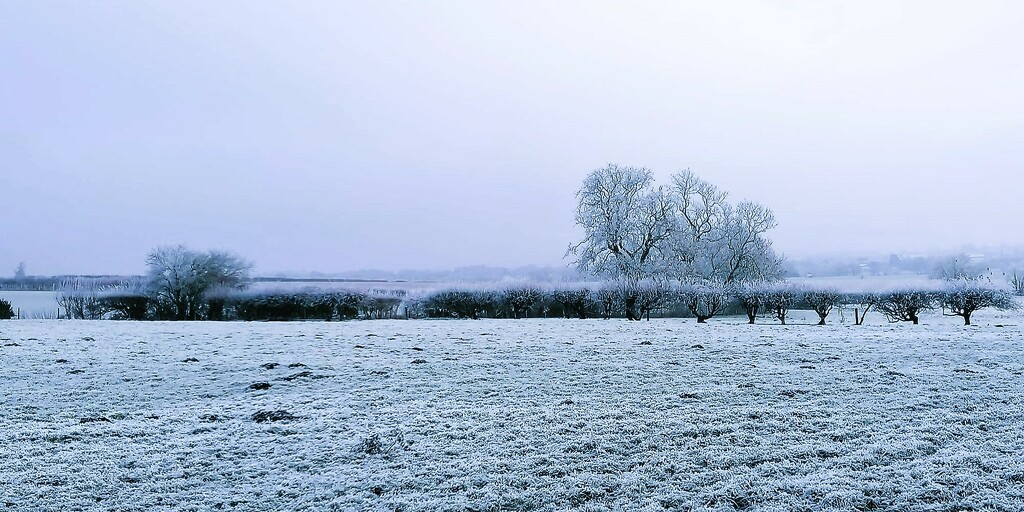 winter landscape by cam365pix