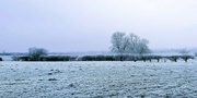 18th Dec 2022 - winter landscape