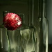 Glass by jayberg