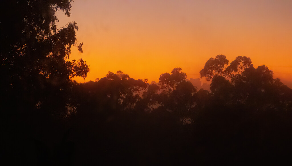 a little mist and sunrise by koalagardens