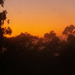 a little mist and sunrise by koalagardens