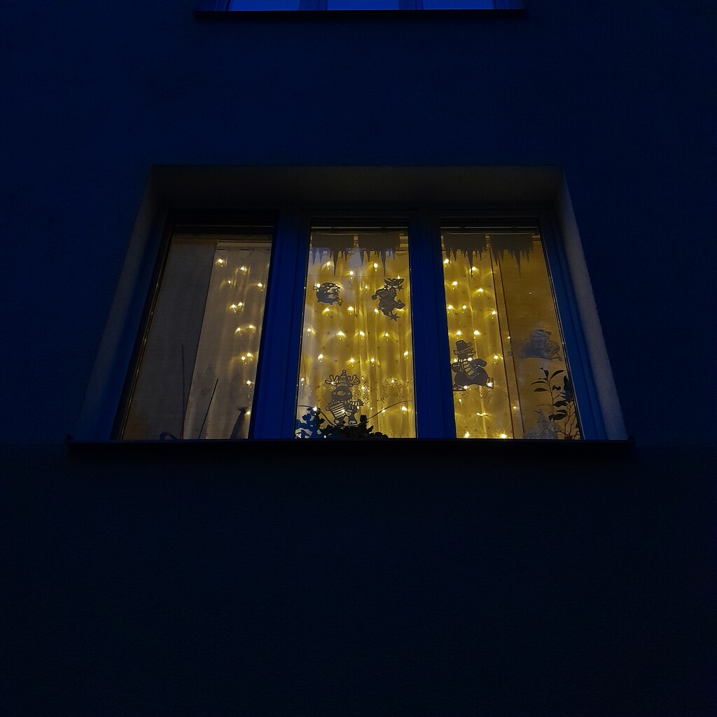 Christmas lights 💫 by elsieblack145