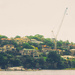 Parramatta River 36 by annied