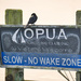 Slow - No Wake Zone by dkbarnett