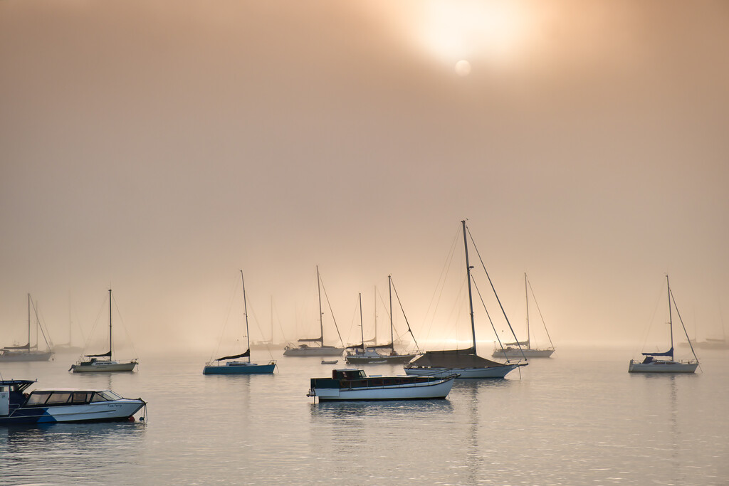 Sun and sea fog by dkbarnett