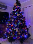 24th Dec 2022 - Our Christmas tree