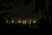 31st Dec 2022 - Foggy Night in Florida