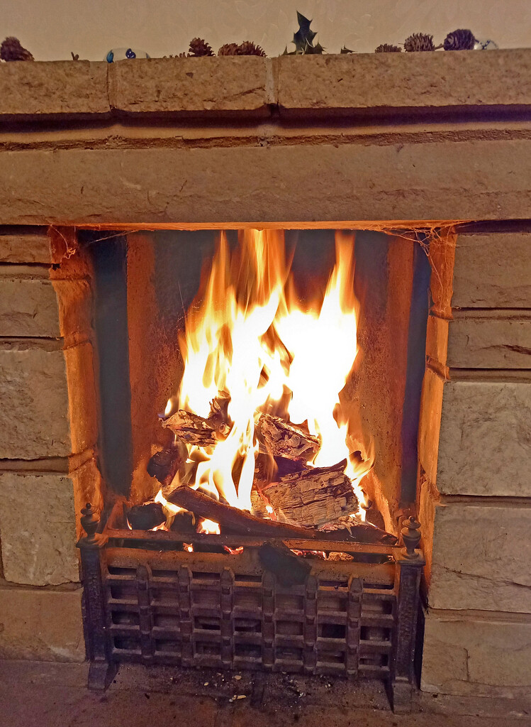 Burning a Yule log by marianj