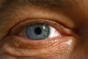 31st Dec 2022 - Rained all day so my husband kindly let me photograph his eye!