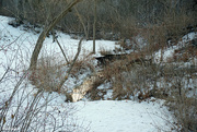 31st Dec 2022 - Creek is flowing