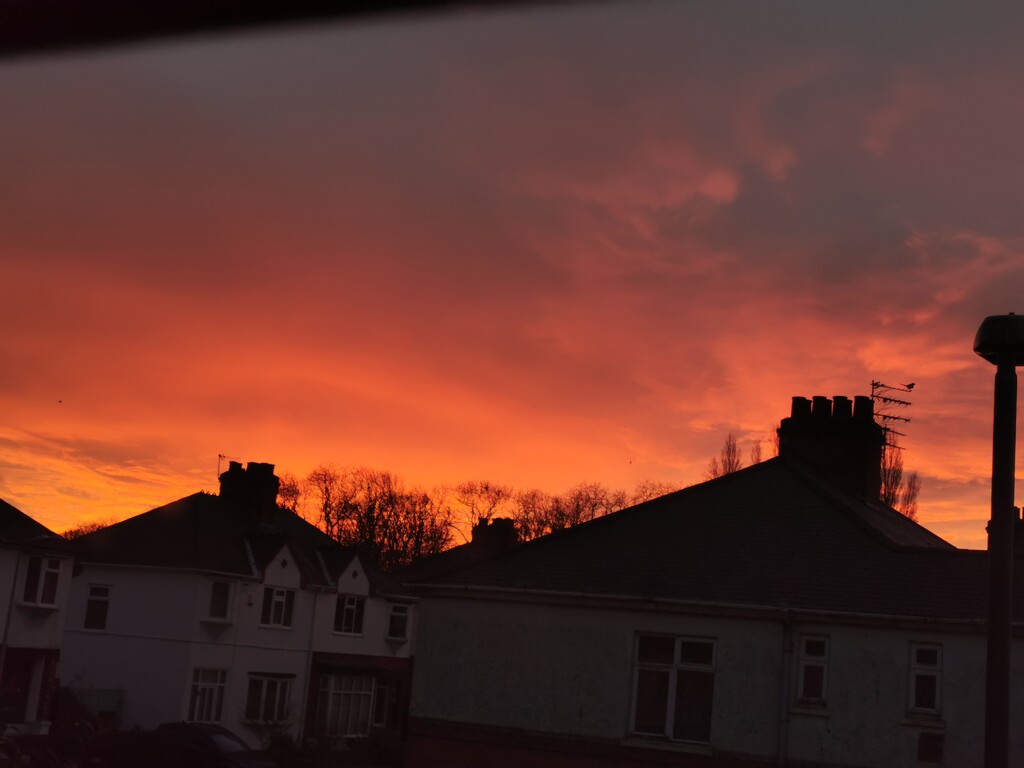 Morning Red Sky  by plainjaneandnononsense