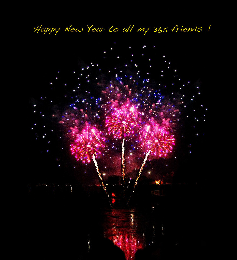 Happy New Year to My 365 Friends by pdulis