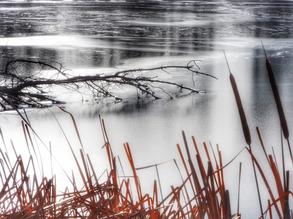 ice on the pond by amyk