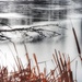 ice on the pond by amyk