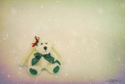 29th Dec 2022 - Snowy Bear