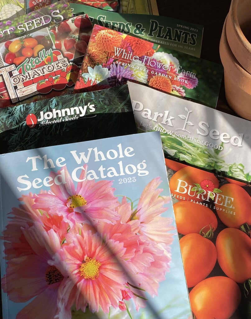 New Seed Catalogs  by paintdipper