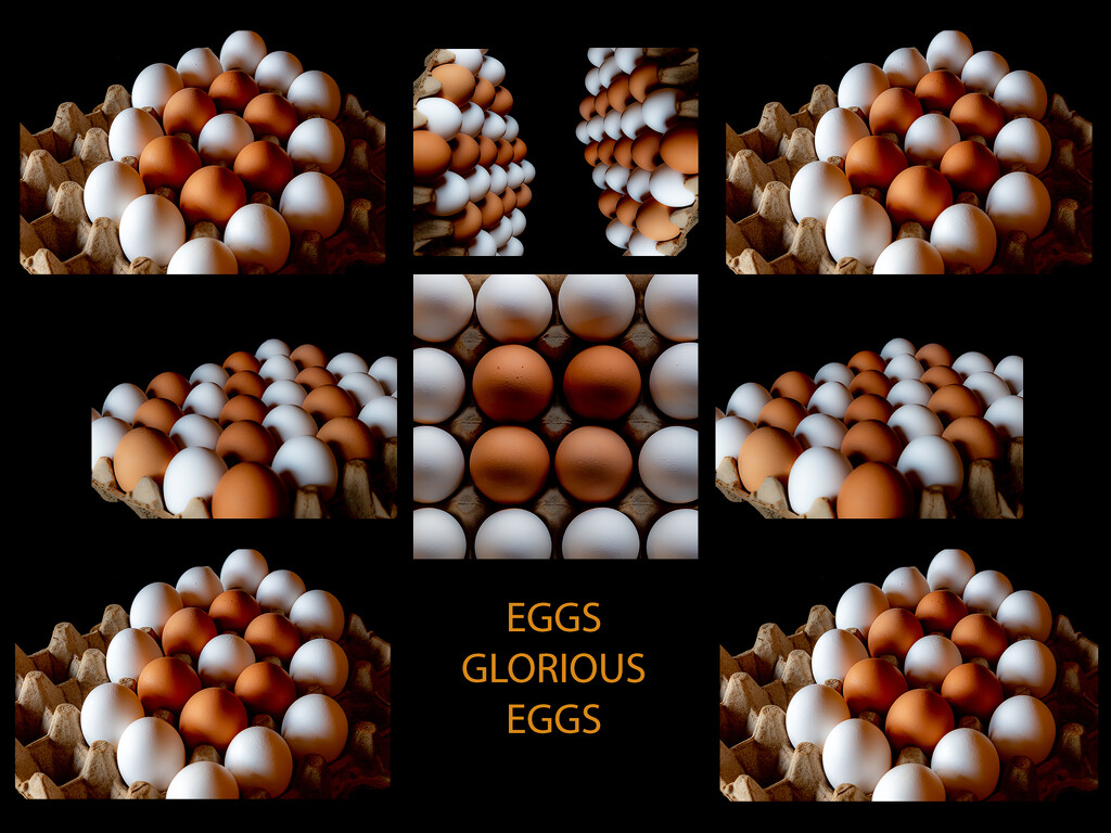 Eggs, Glorious Eggs!! by farmreporter