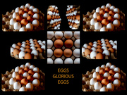 1st Jan 2023 - Eggs, Glorious Eggs!!