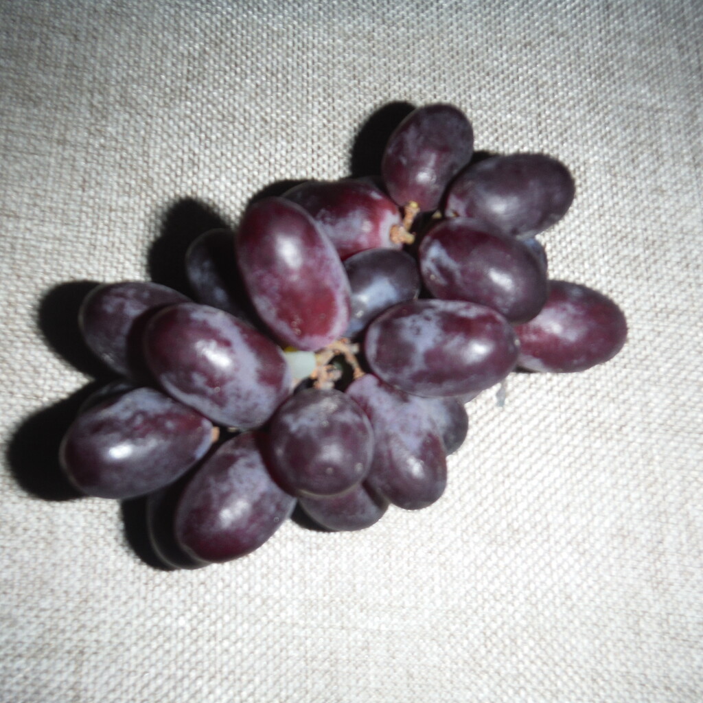New Year Grapes by spanishliz