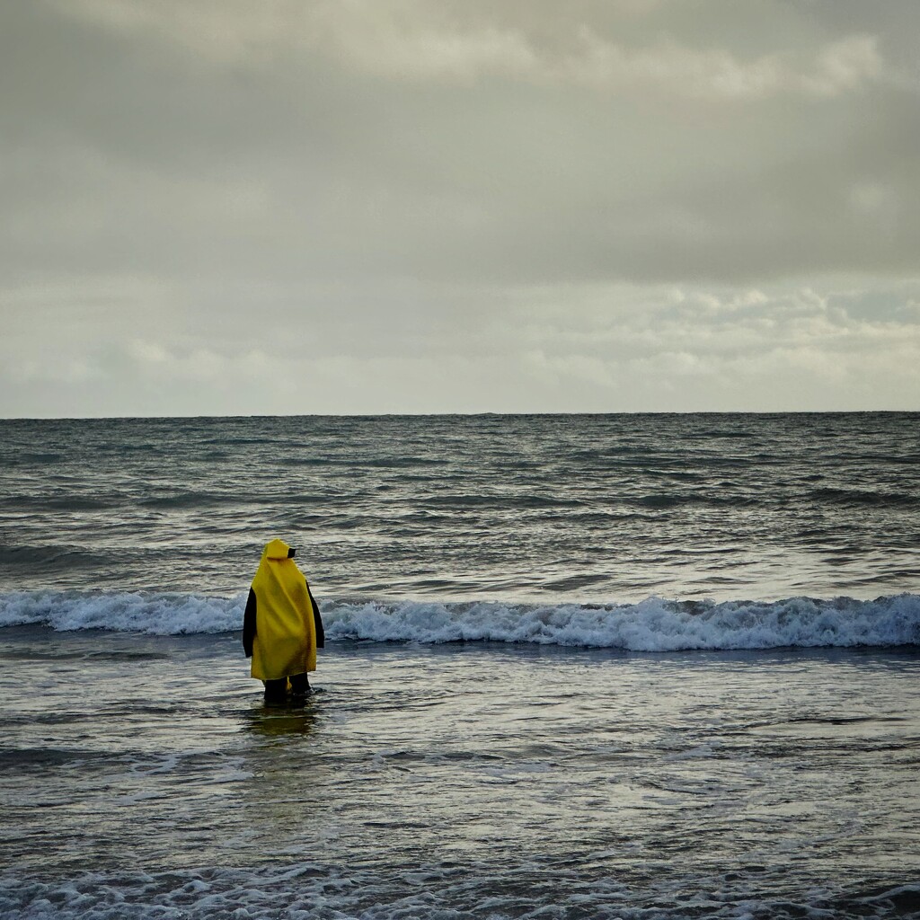 New year’s dip dressed as a banana  by spanner