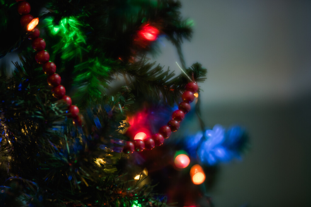 Christmas Decorations by mistyhammond