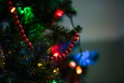 19th Nov 2022 - Christmas Decorations